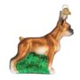 Boxer Glass Ornament – Old World Christmas